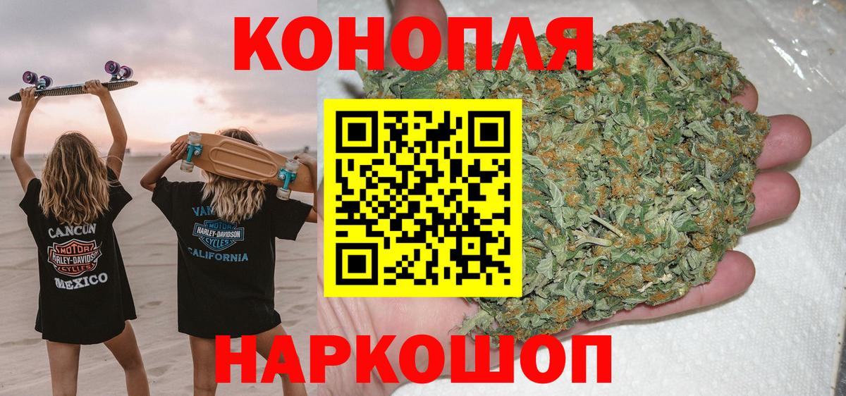Бошки марихуана Bruce Banner  МАРИХУАНА планчик  Канабис план  Вход с VPN  Бор 